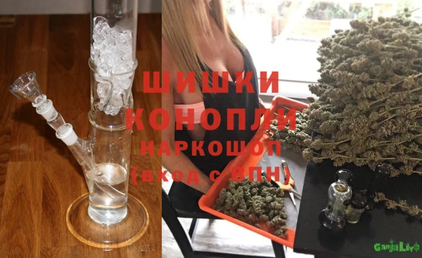 мдпв Верхний Тагил