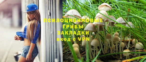 мдпв Верхний Тагил