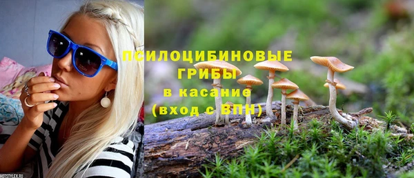 мдпв Верхний Тагил