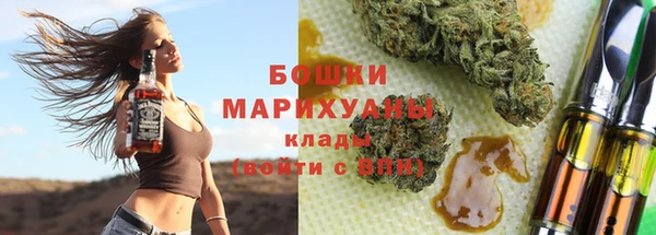 мдпв Верхний Тагил