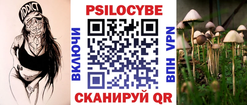 Псилоцибиновые грибы Psilocybe  Гдов 